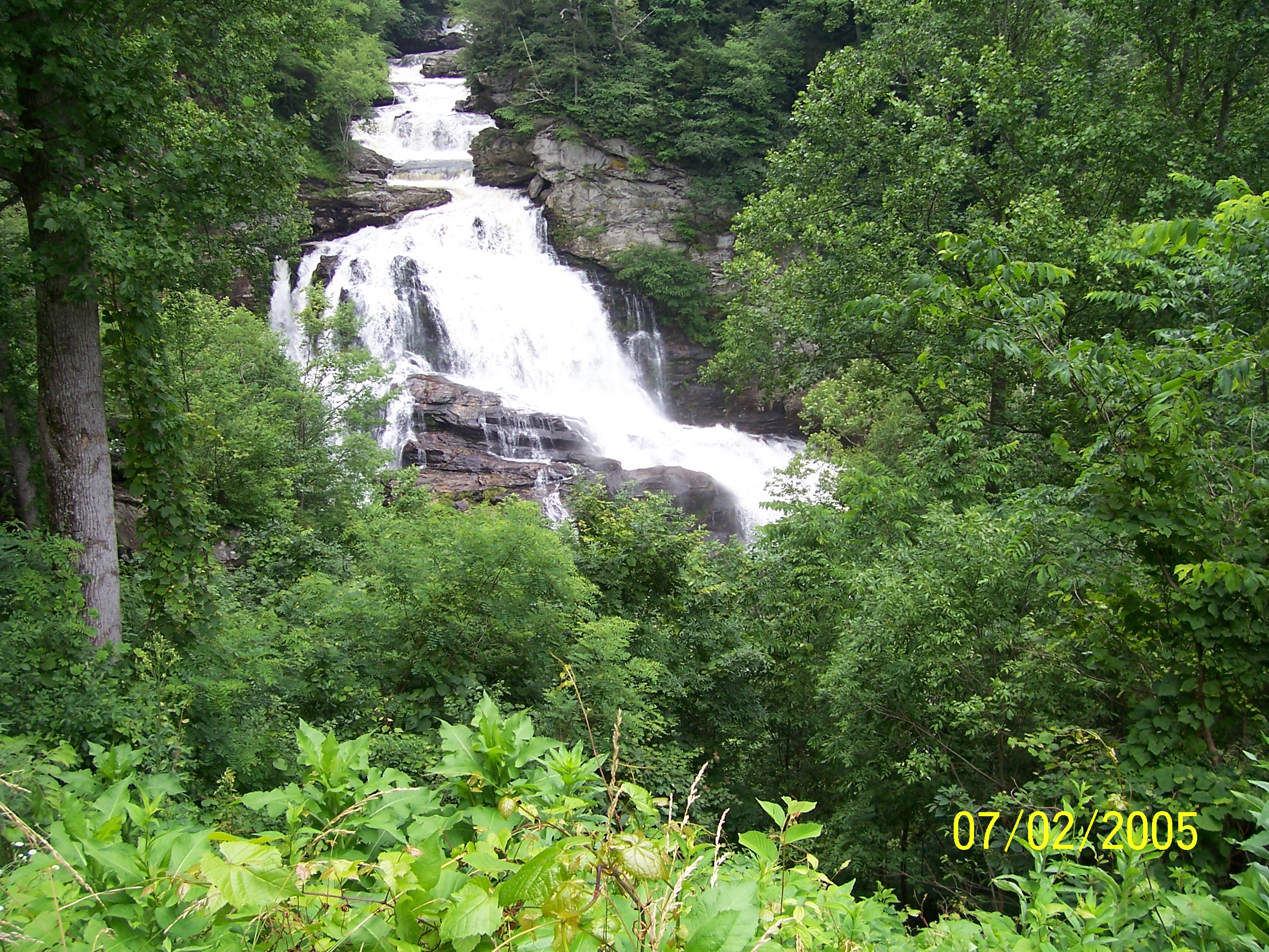 100_0113.jpg