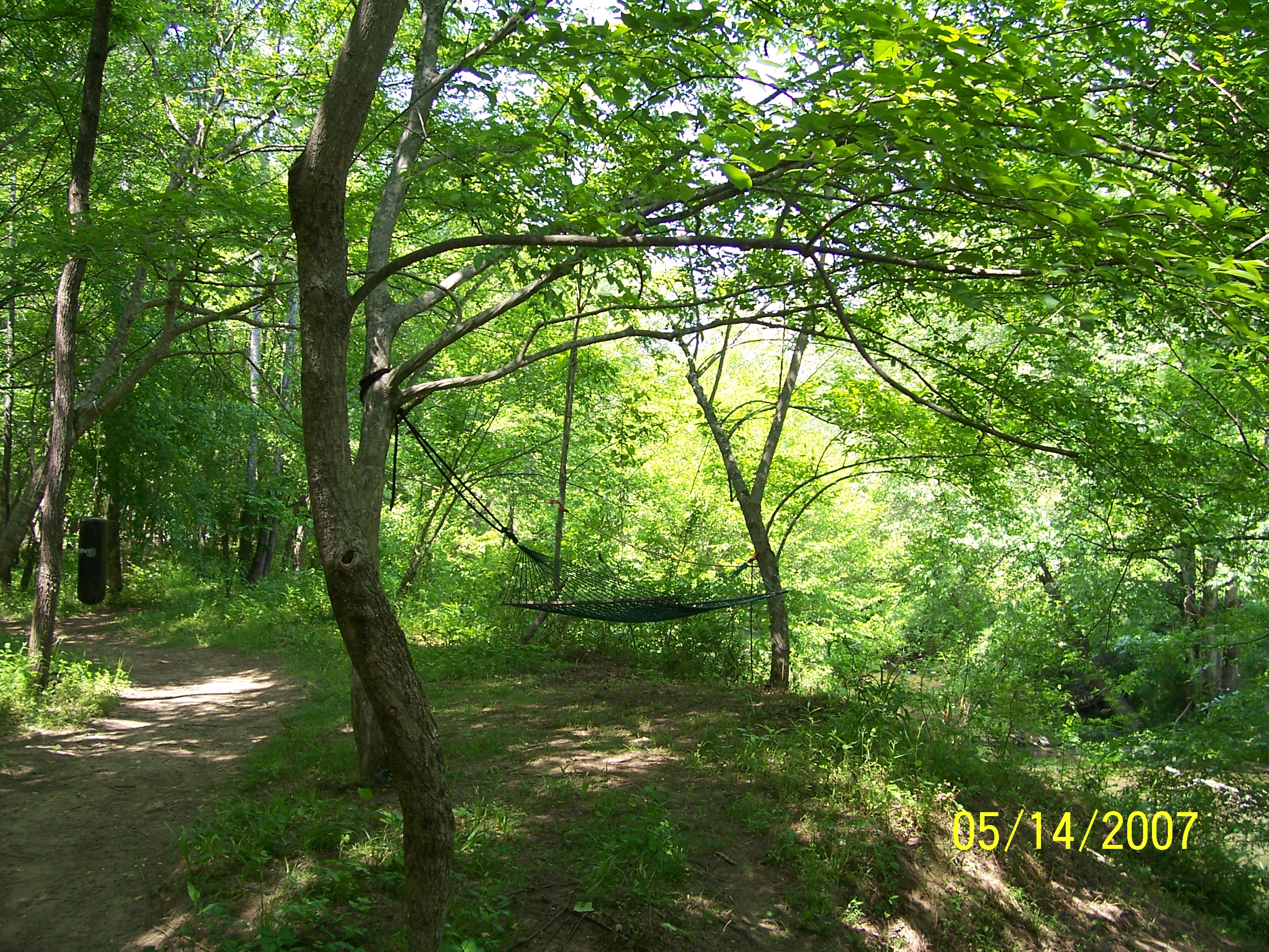 100_0651.jpg