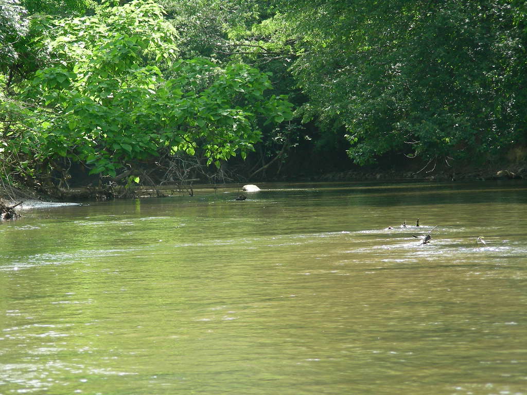 dscn0840.jpg